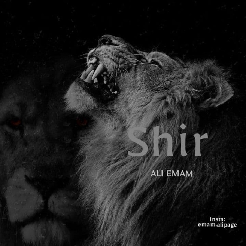 Ali Emam – Shir